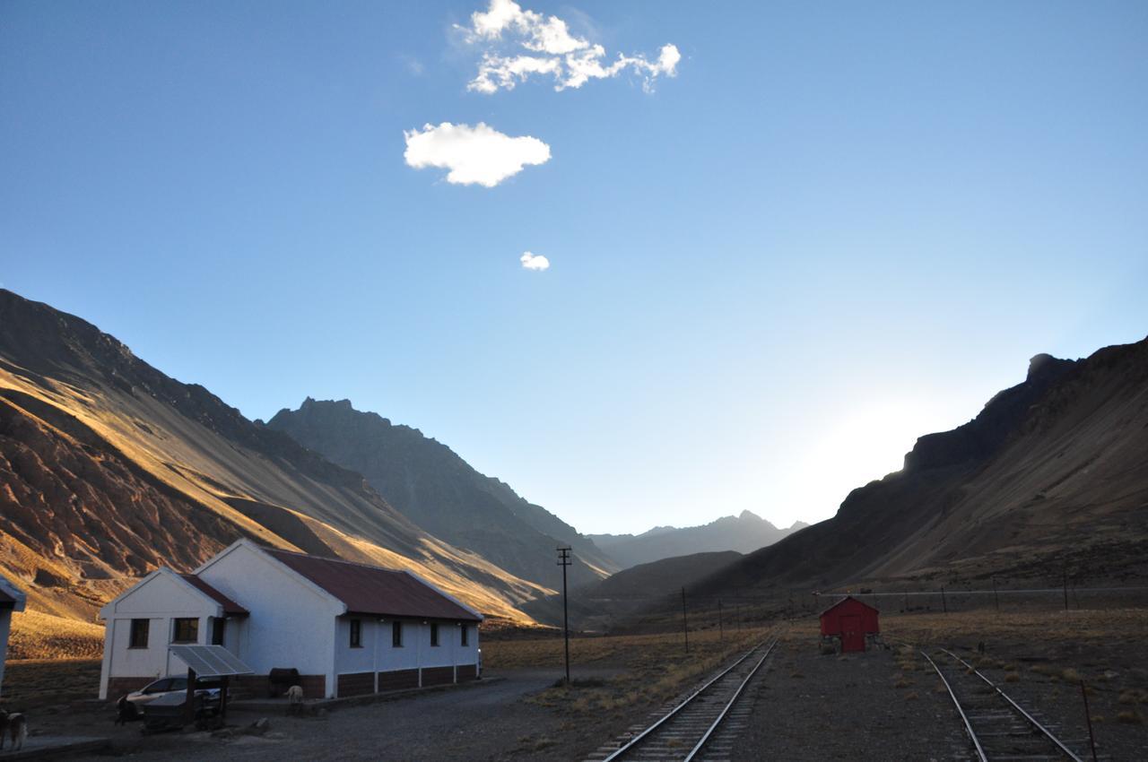 Lenas Del Tolosa Las Cuevas (Mendoza)